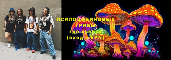 экстази Арсеньев