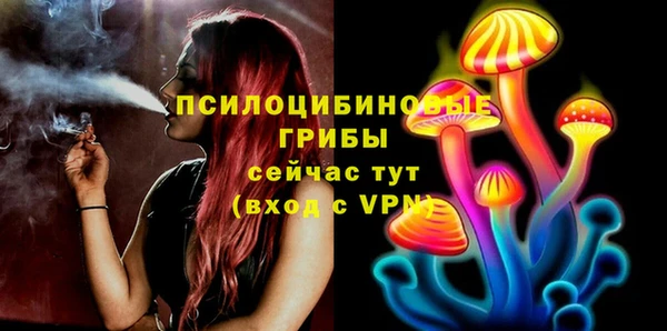 экстази Арсеньев
