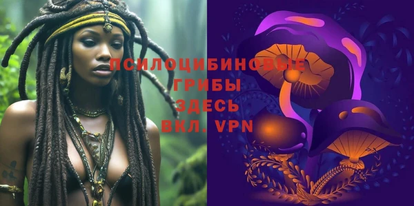 экстази Арсеньев