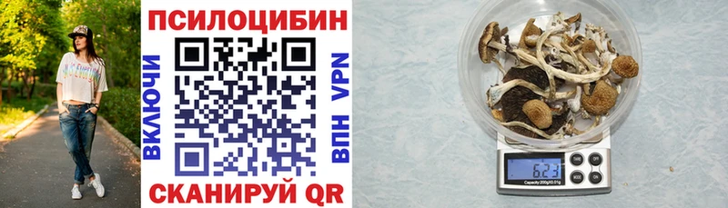 Галлюциногенные грибы Psilocybe  площадка официальный сайт  Суворов 